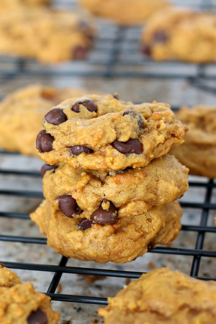 This super easy and amazing pumpkin chocolate chip cookie will not lead you astray. Impress at your next party or gathering with these delicious cookies. They'll be the hit of the party!