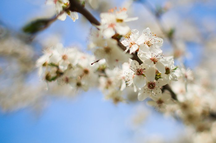picjumbo.com_HNCK4943
