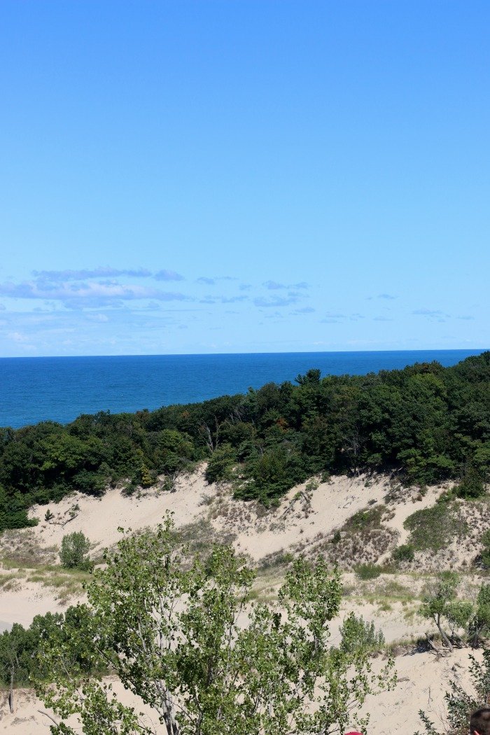 Look out over Warren Dunes