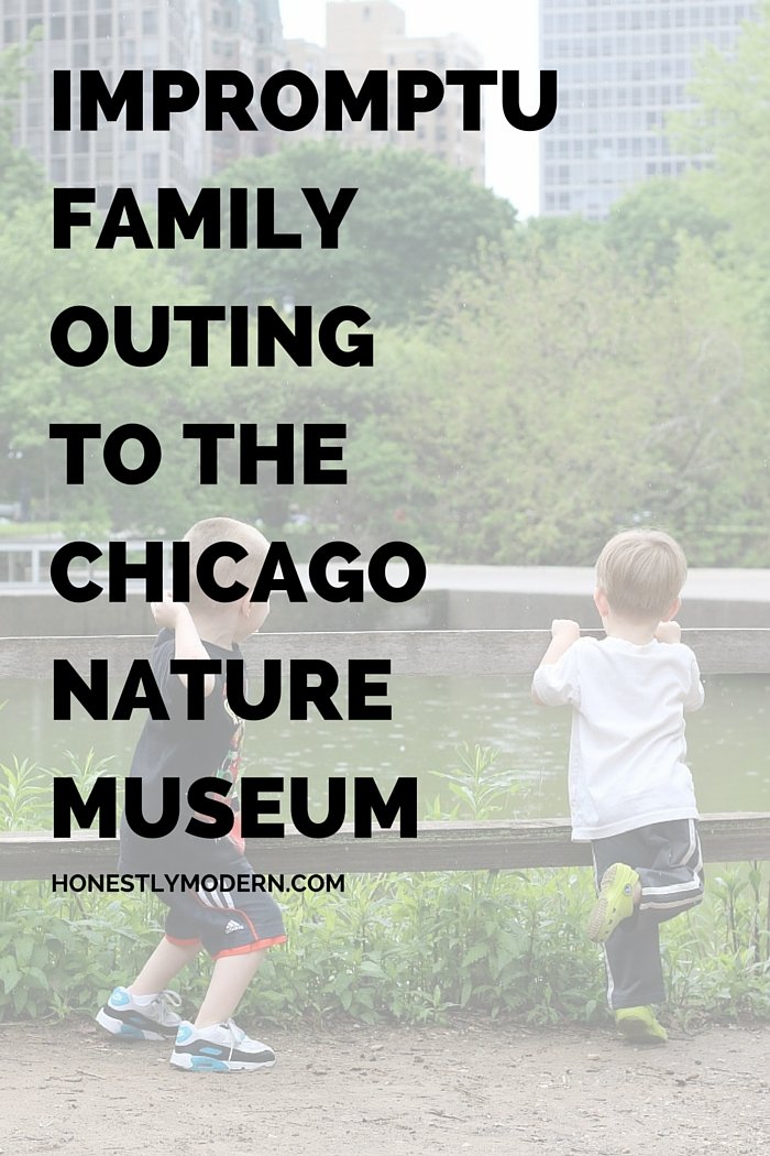 If we don't make time for ourselves and our families, who will? All our impromptu trip to the Butterfly Release at the Nature Museum in Chicago. It's a perfect stop for any family during a visit to Chicago.