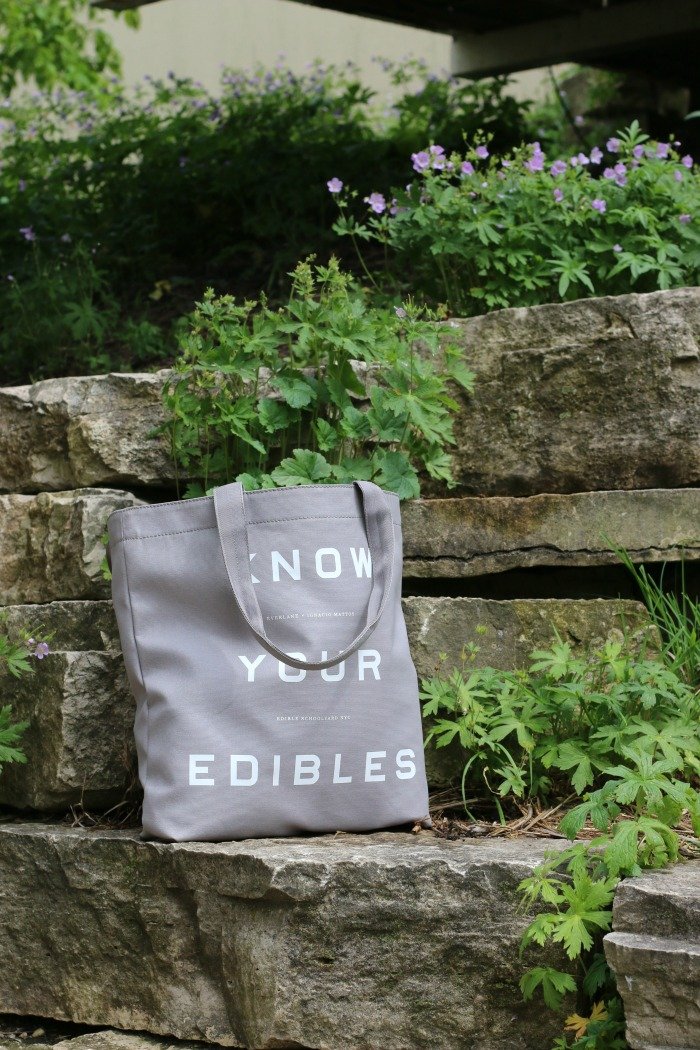 Everlane bag sitting on rocks