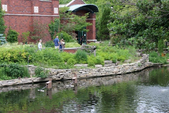 Lincoln Park Zoo pond with greenery