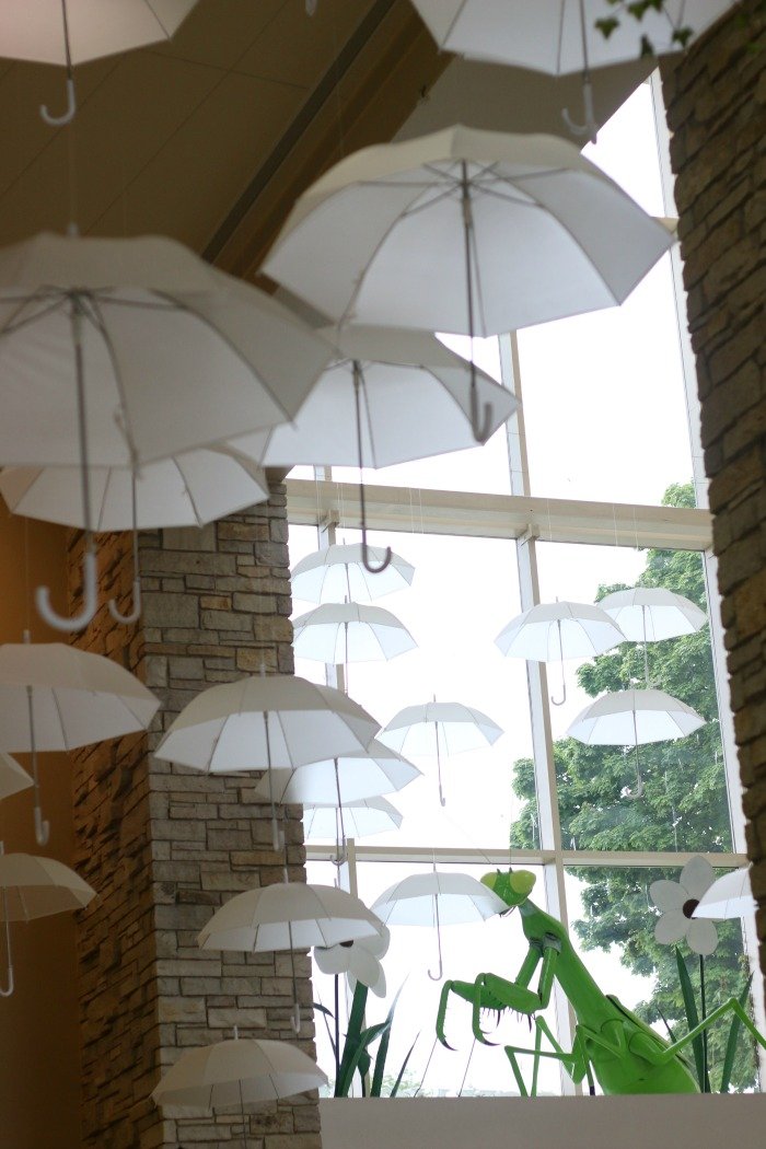 umbrellas hanging from the ceiling at the Nature Museum