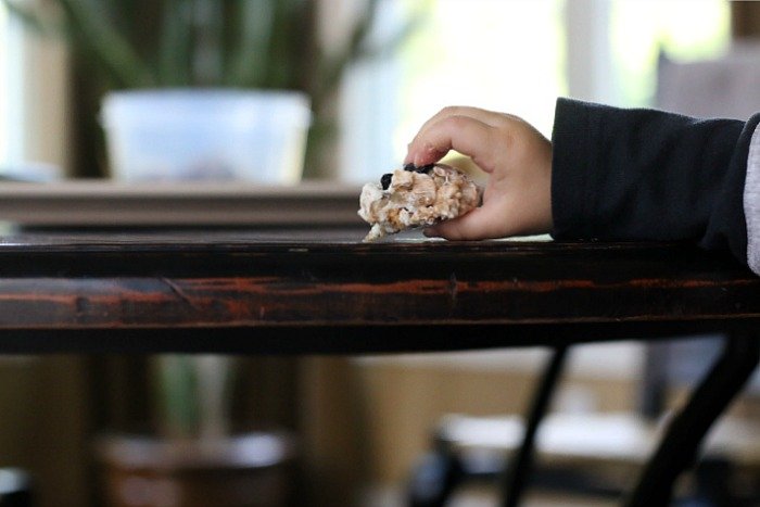 little boy holding white chocolate blueberry clusters on a table