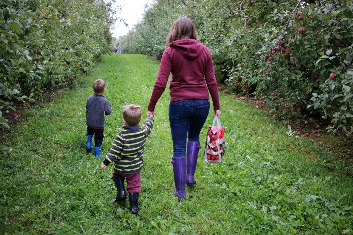 Spending a weekend visiting family in upstate New York, including a visit to an apple orchard and a family farm, gave my city boys a chance to food at its origin.