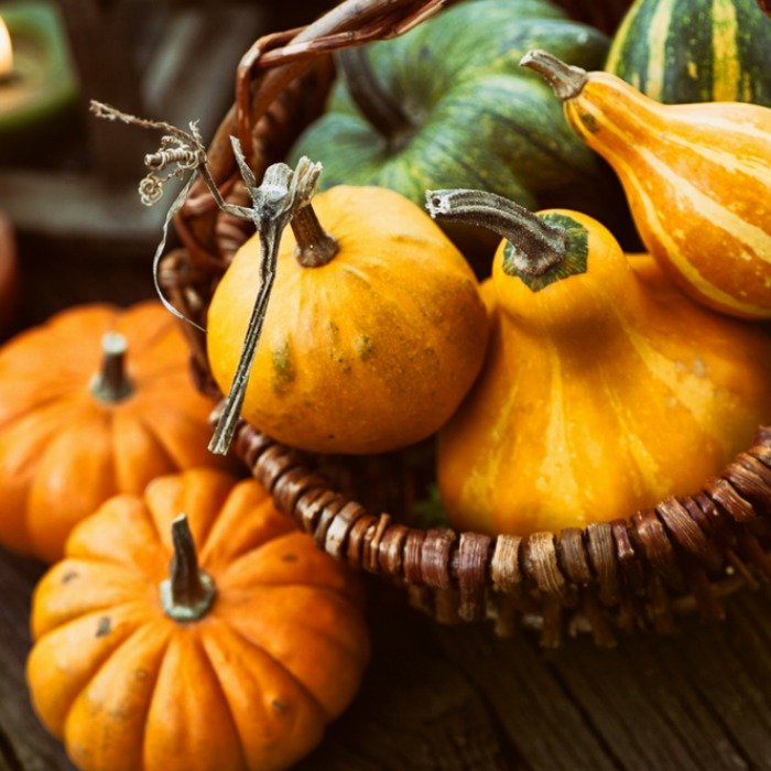 Simple Steps Toward a Zero Waste Thanksgiving