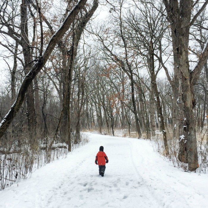 Appreciating the Quiet of the Cold