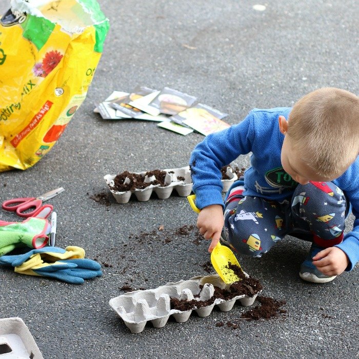 Jumpstart Your Garden with DIY Seedling Starters