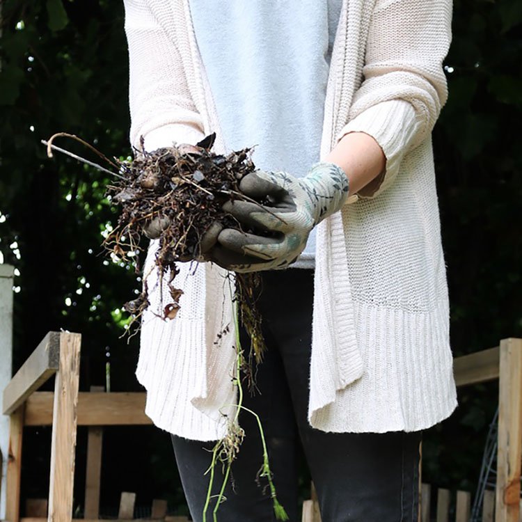 How To Compost At Home | Composting on a Small Urban Garden Plot