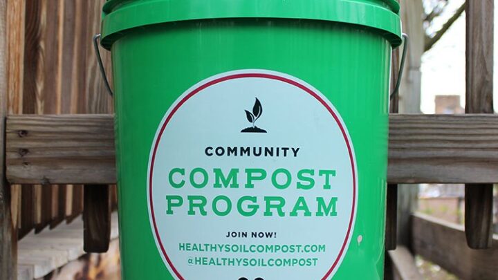 Image for How To Compost At Home | Community Compost Pick-Up Programs