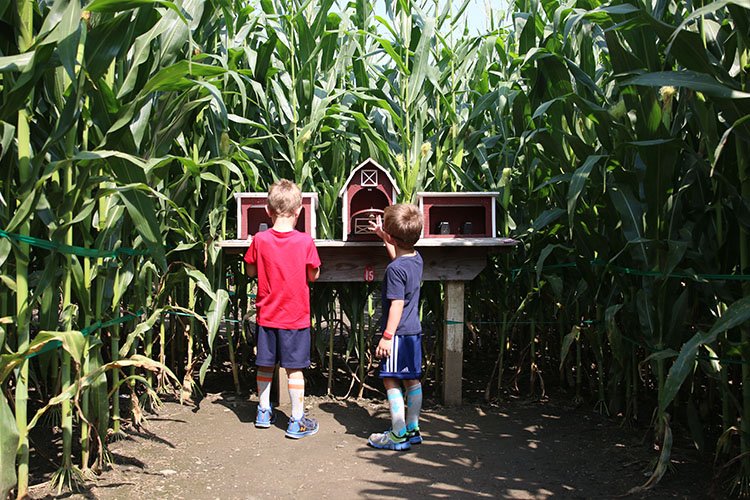 Summer Sun and Family Fun at Cherry Crest Adventure Farm