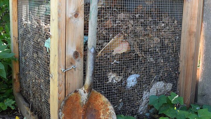 Image for How To Compost At Home | Composting Year Round (Even In Winter)