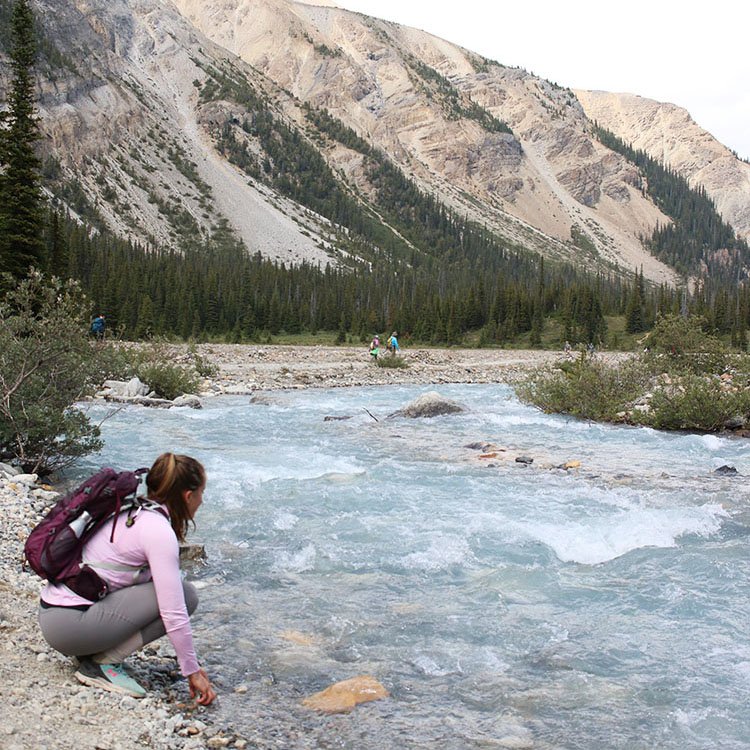 Beginner Tips for Planning a Vacation to a National Park