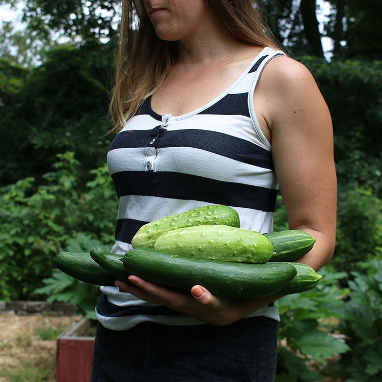 Zero Food Waste | Meal Plan To Use Up Cucumbers