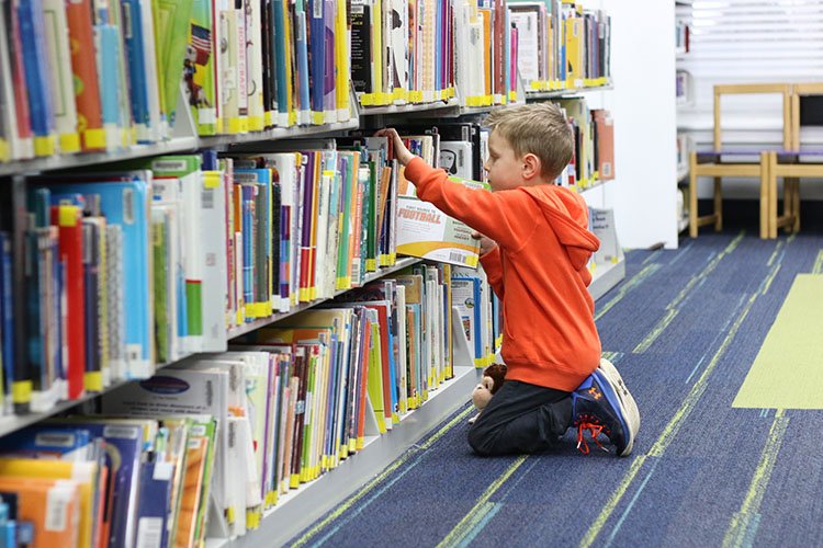 How Libraries Are Saving Lives and Supporting Our Health