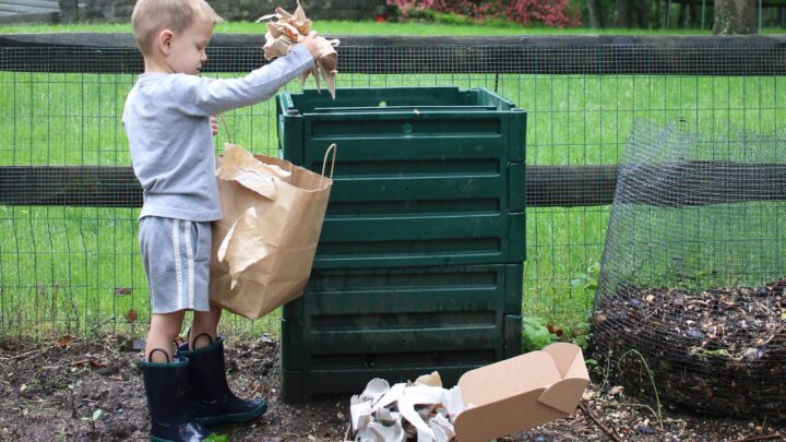 Image for Does Composting Attract Animals?