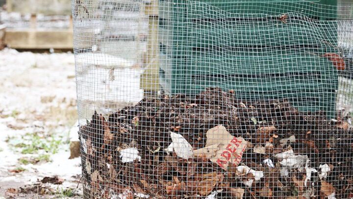 Image for You Can Make Dirt | Four Piles In The Back