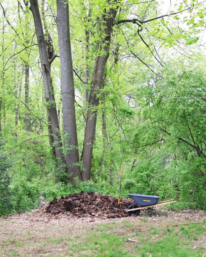 How We Employ Regenerative Practices In Our Home Garden - Honestly Modern