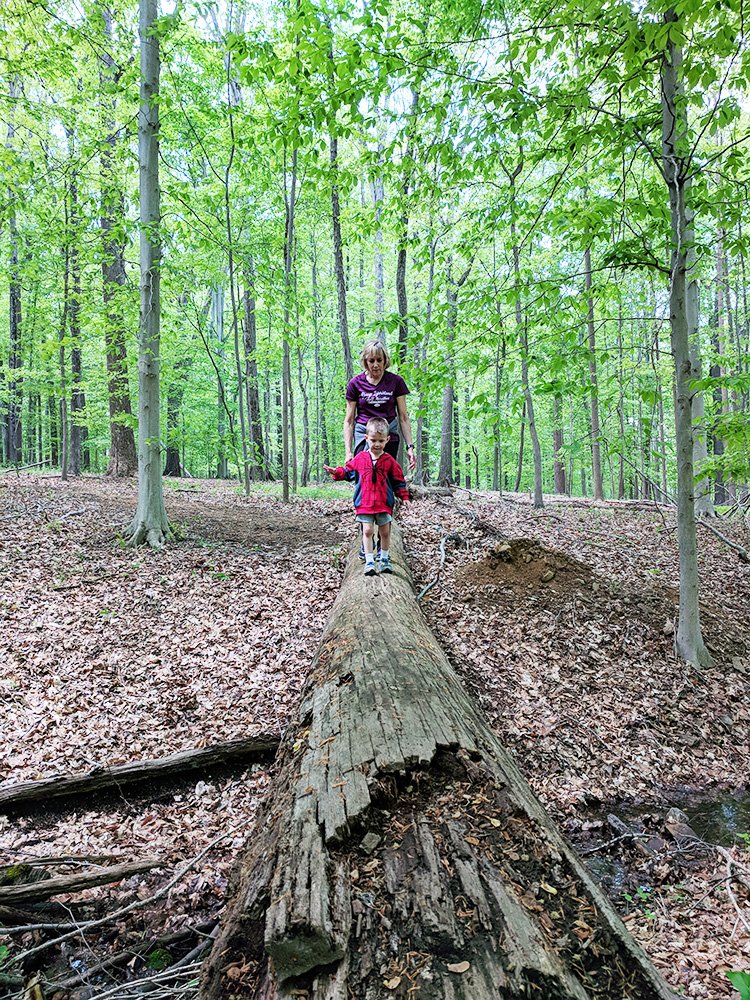 Explore Outdoors With Kids