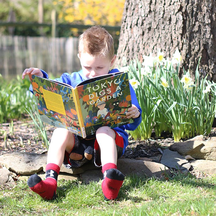 little boy reading gardening picture books