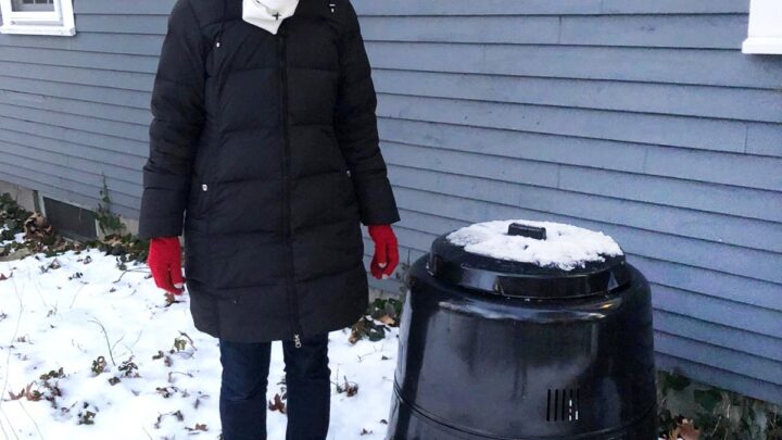 Image for How To Compost At Home | A Compost Bin For The Neighbors