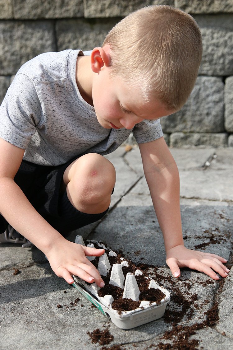 7 Places To Find Free Eco-Friendly Educational Projects For Kids