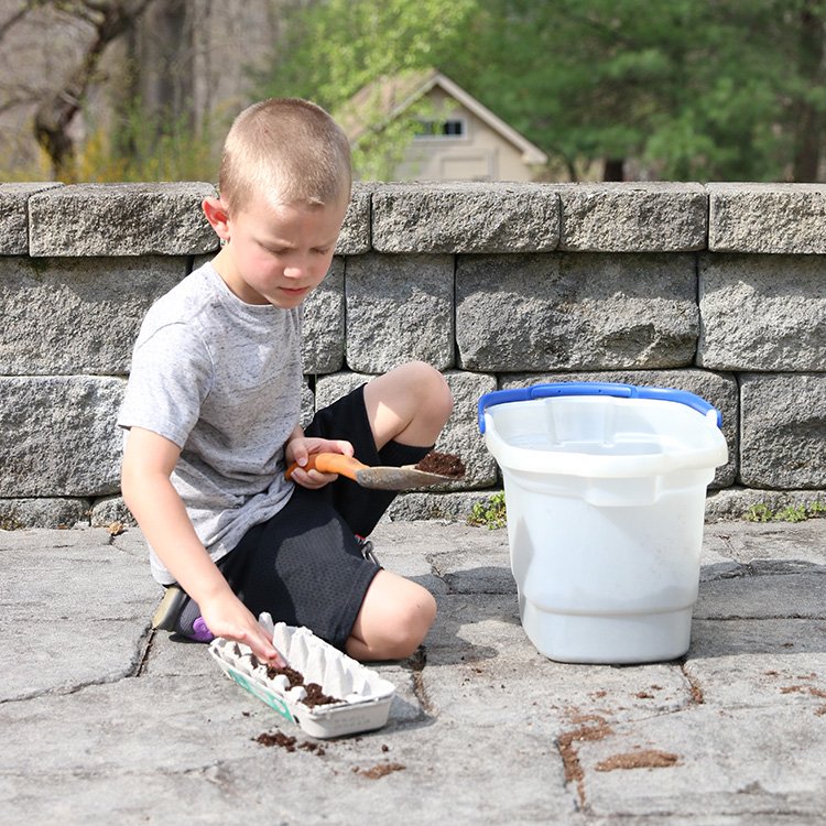 7 Tips for Growing Seedlings with Kids