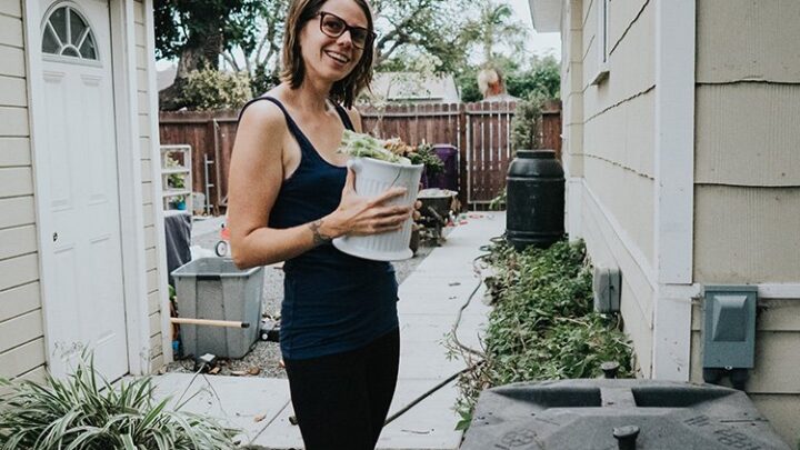 Image for How To Compost At Home |  Municipal Subsidies For Composting