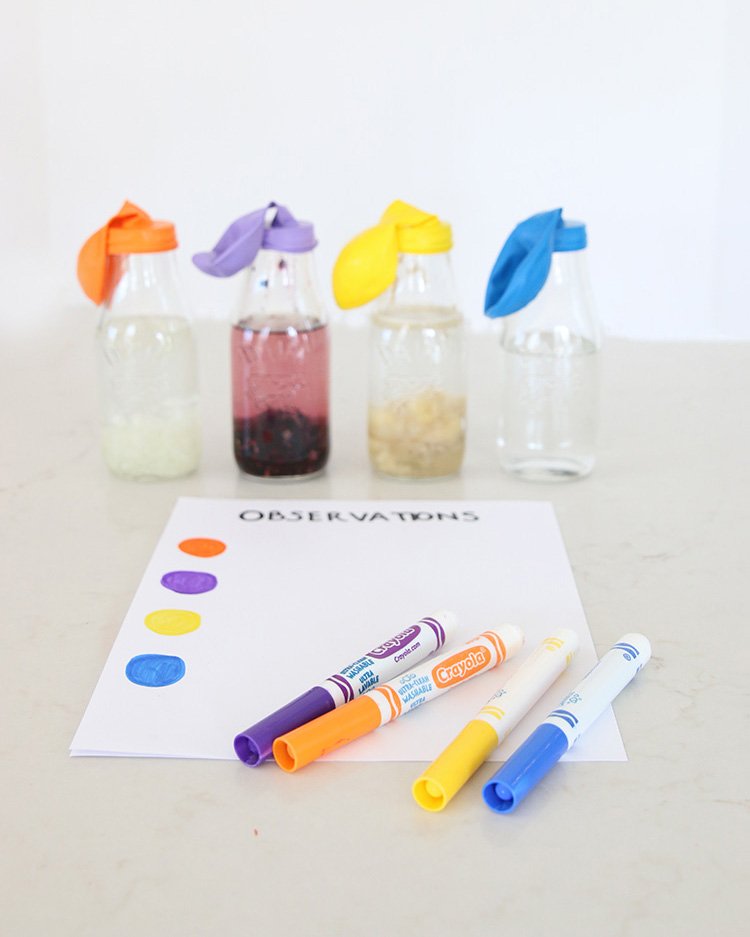 four glass bottles with balloons on top of them sitting on a counter, next to white sheets of paper and 4 markers for completing the activity described in this post