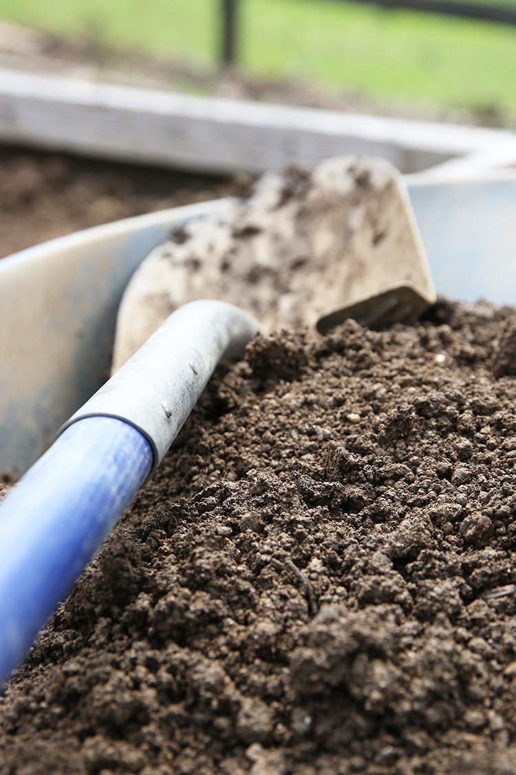 How To Know Where To Place Your Compost Bin