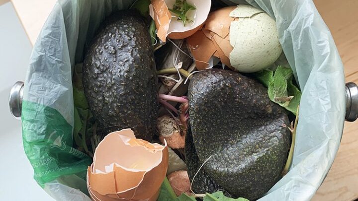 Image for How To Compost At Home | Composting In A Tiny Home