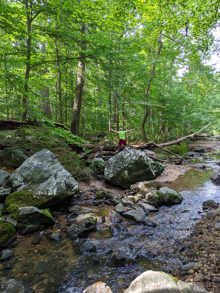 One Simple Way To Help Kids Connect With Nature