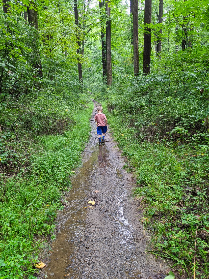 about honestly modern - boy walking through the woods