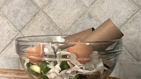 Image for How To Compost At Home | Mixing Municipal Pick Up and A Compost Bin At Home