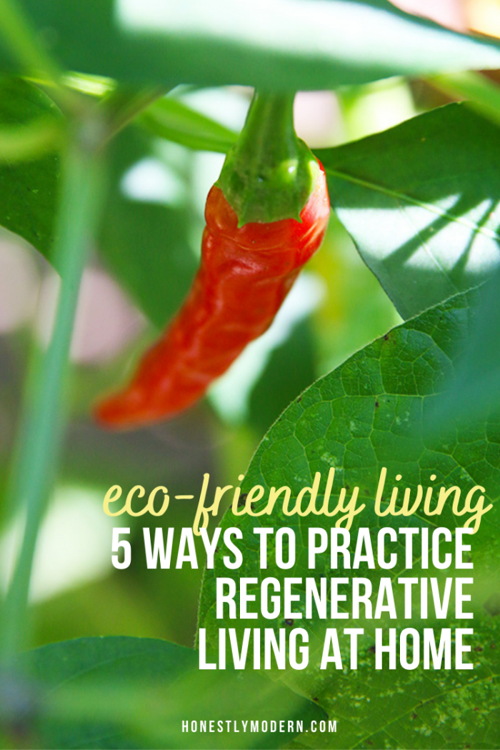 5 Ways To Practice Regenerative Living At Home - Honestly Modern