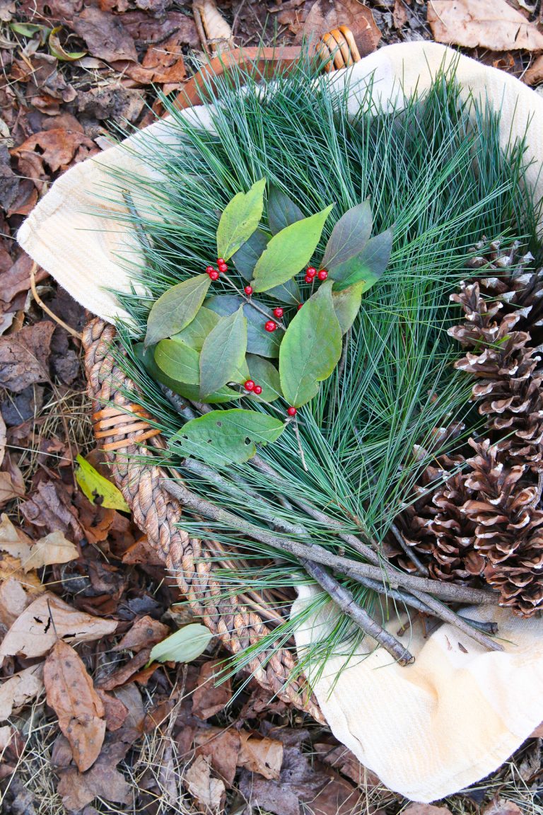 Easy and Free Eco-Friendly Foraging For Christmas Decorations
