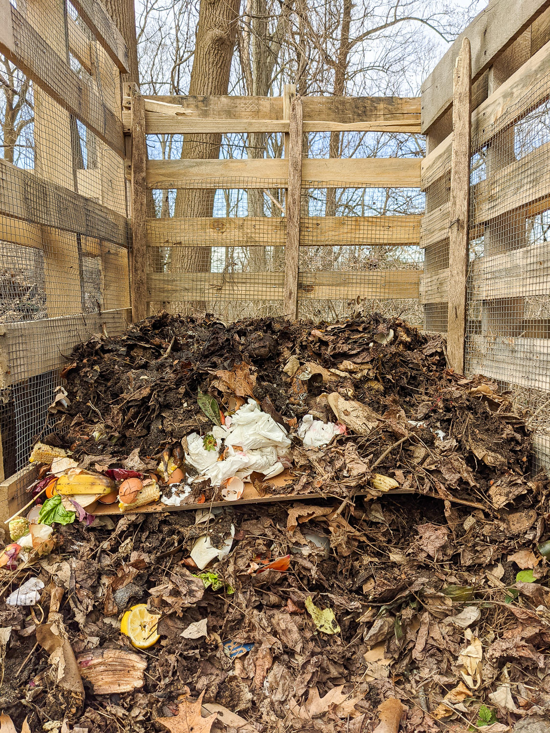 How To Compost At Home  Composting In Buckets - Honestly Modern