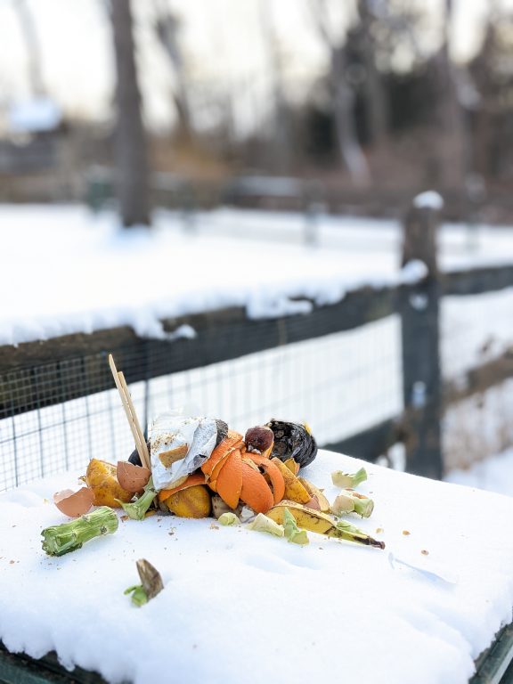 Can I Compost In Winter? Honestly Modern