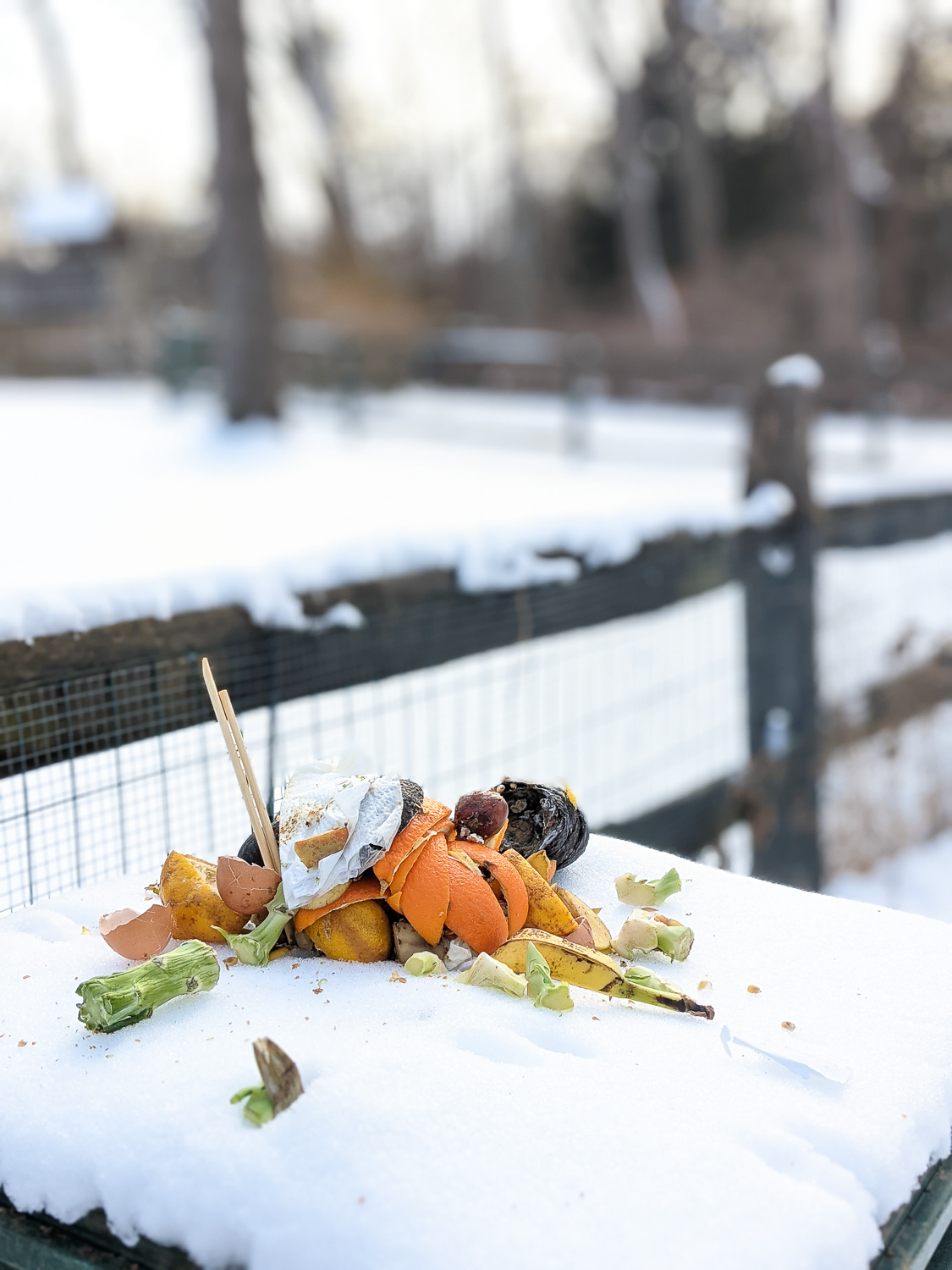 Can I Compost In Winter?