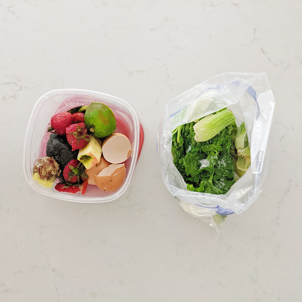 https://www.honestlymodern.com/wp-content/uploads/2021/02/plastic-container-and-plastic-bag-for-food-scraps.jpg