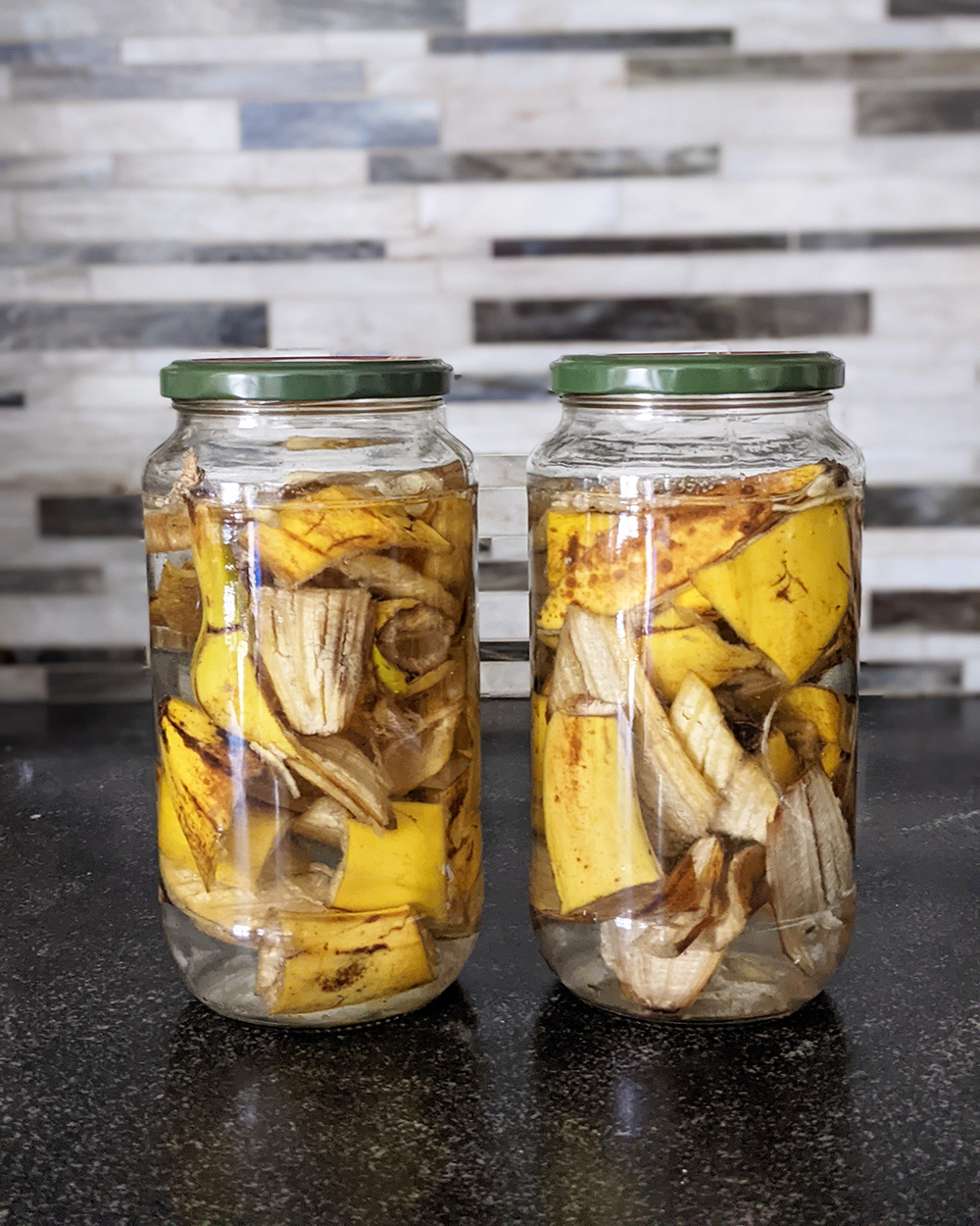 How To Store Food Scraps For Composting At Home - Honestly Modern