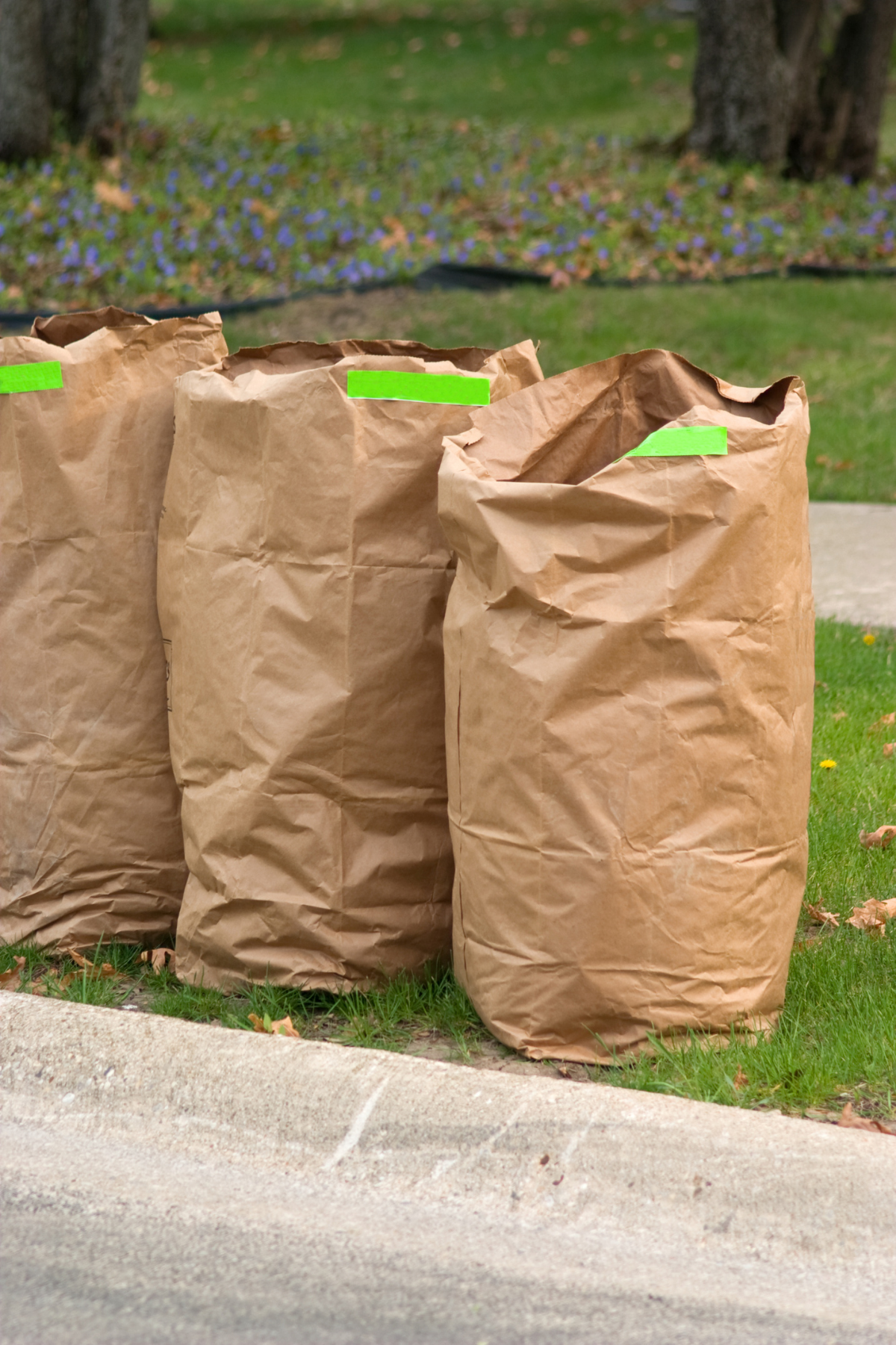 Where can I get paper bags for my yard waste in Charlotte?