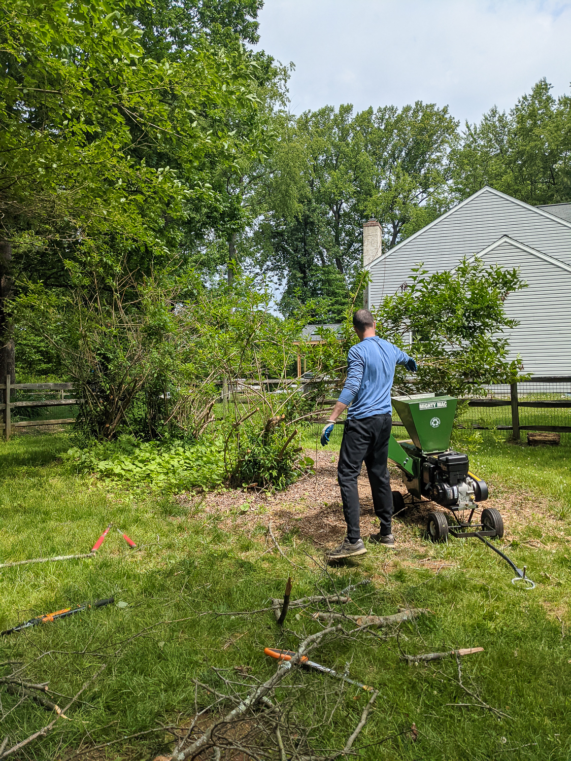 What Is Yard Waste And How Should You Get Rid Of It?