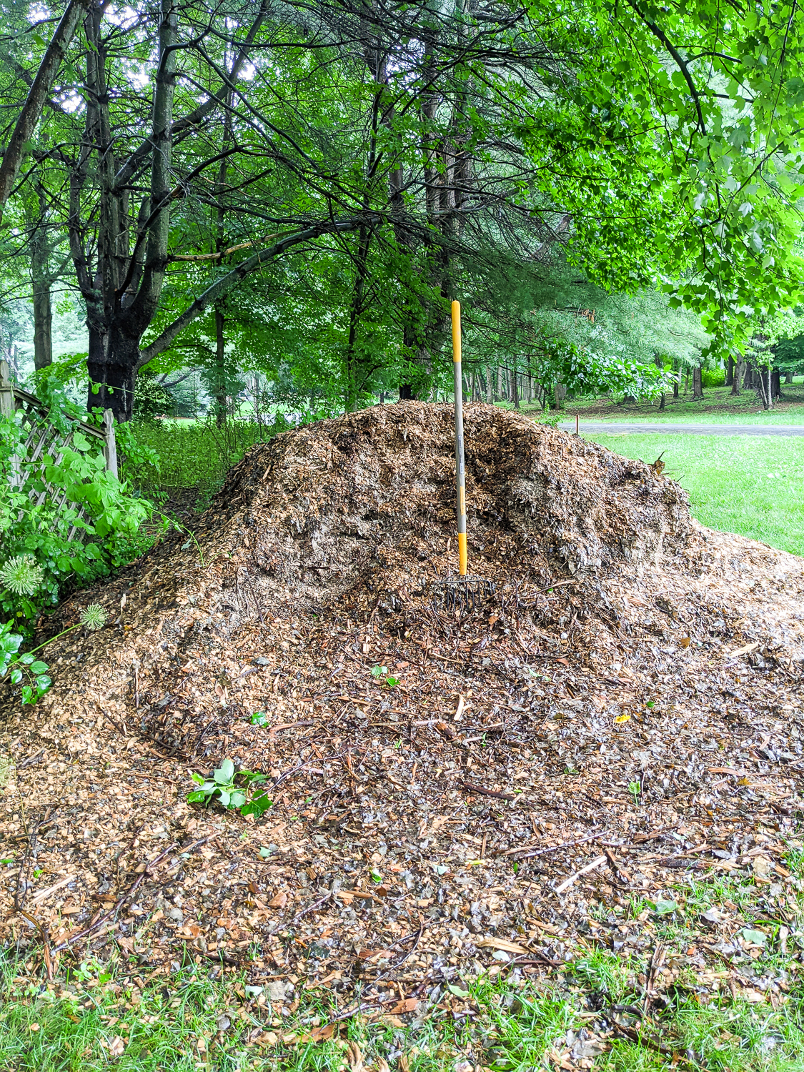 What Is Yard Waste And How Should You Get Rid Of It?