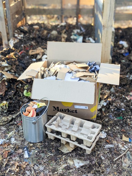 9 Types of Free Compost Browns | The Simplest Fix For Slow and Slimy ...