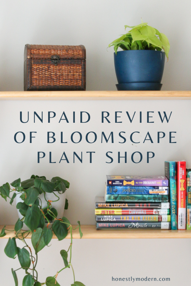 Unpaid Review of Bloomscape Online Plant Shop - Honestly Modern