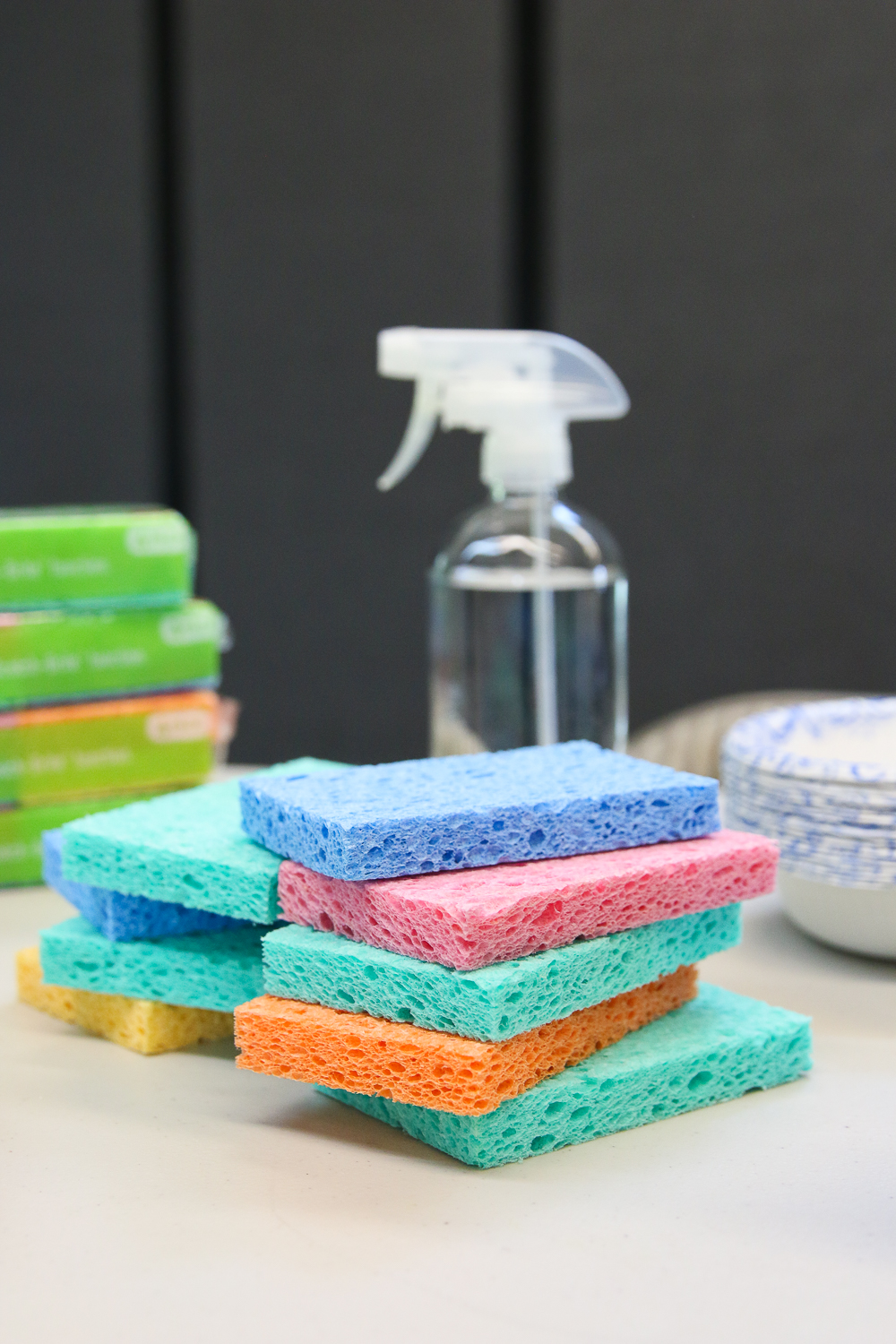 pile of sponges and a spray bottle of water - materials to build a sprout house