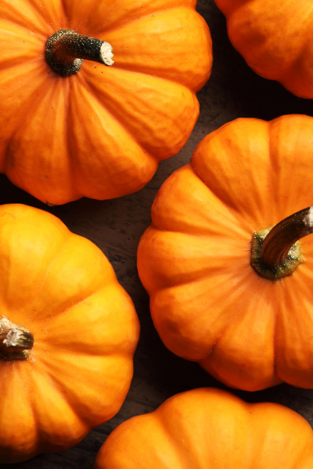 Pumpkin Recycling | 10 Sustainable Ways To Dispose of Pumpkins After Halloween