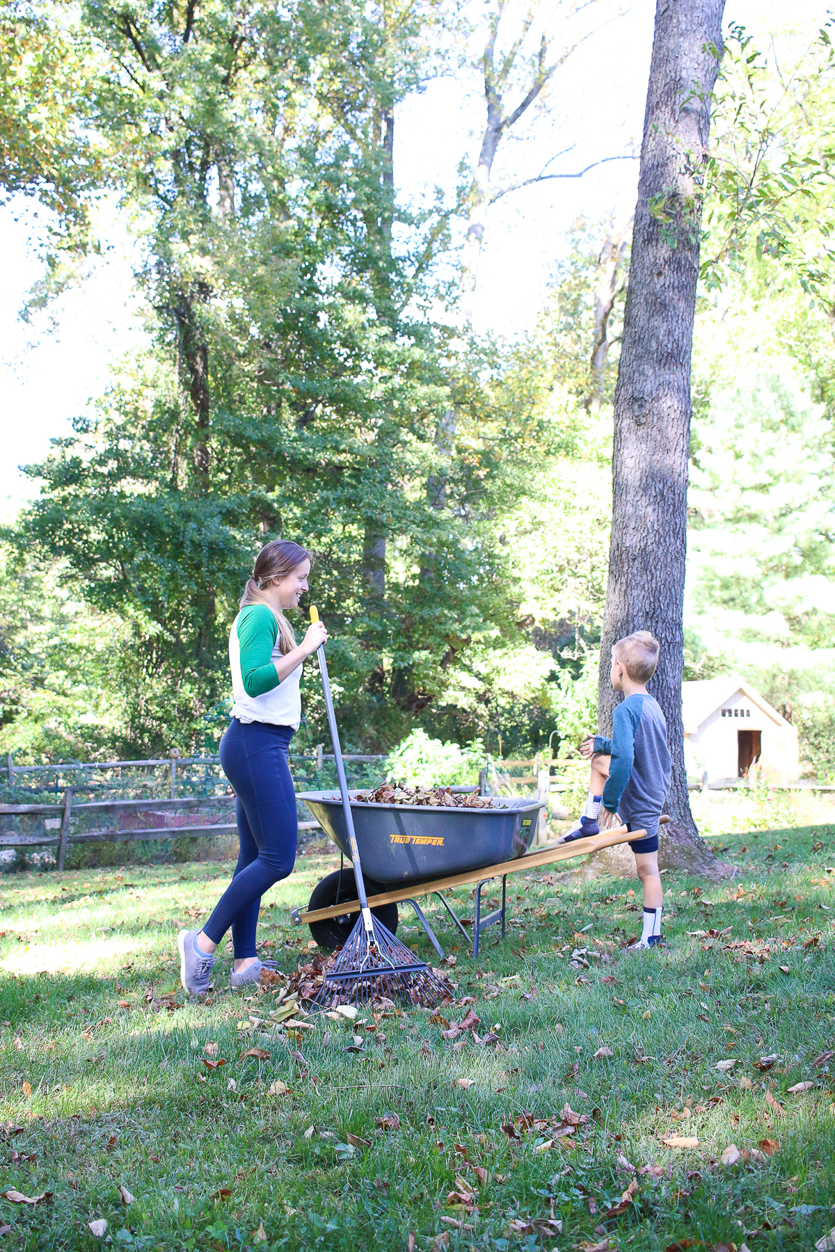 5 Ways To Compost Leaves