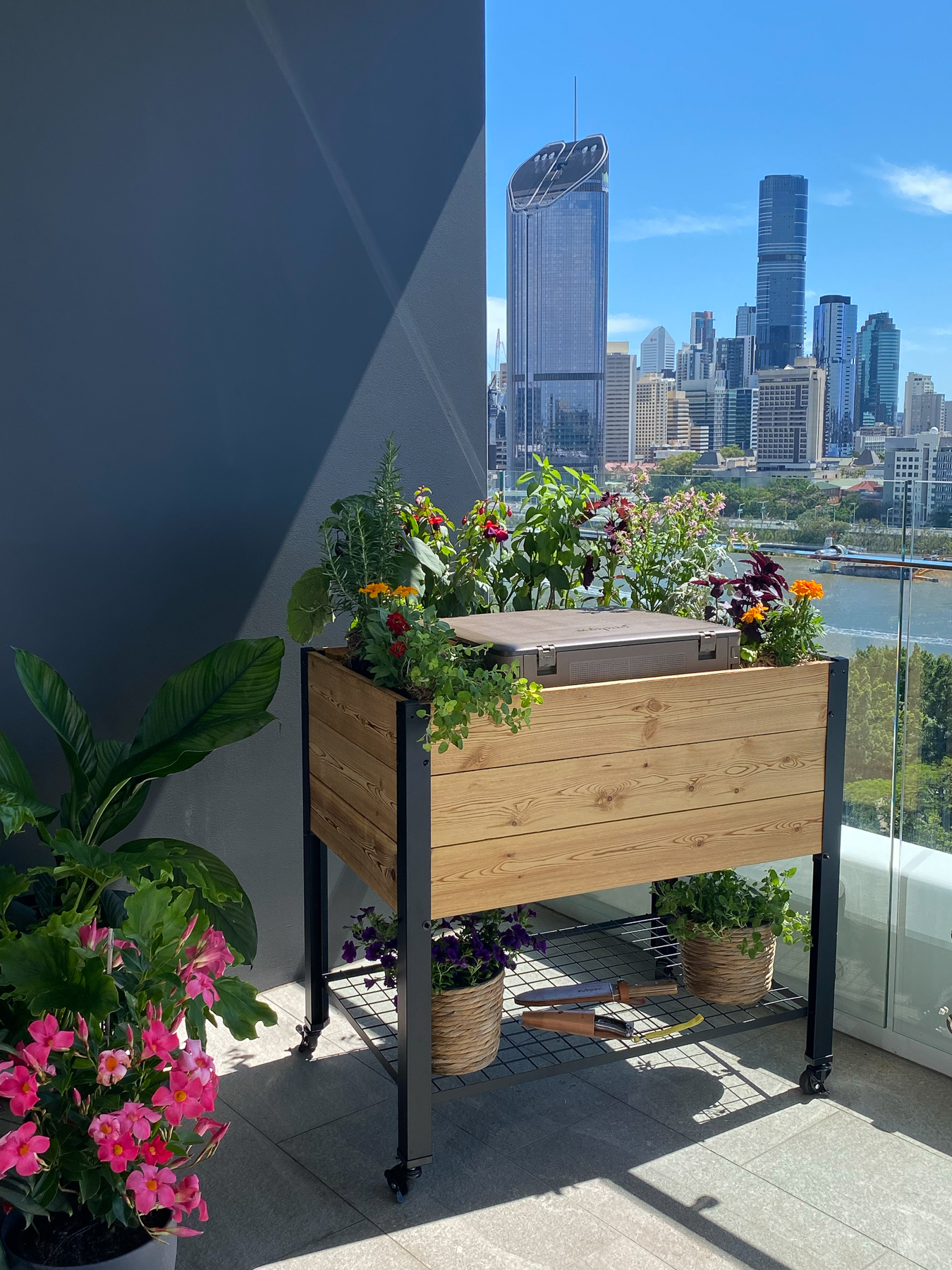 Modbed grow system on urban balcony